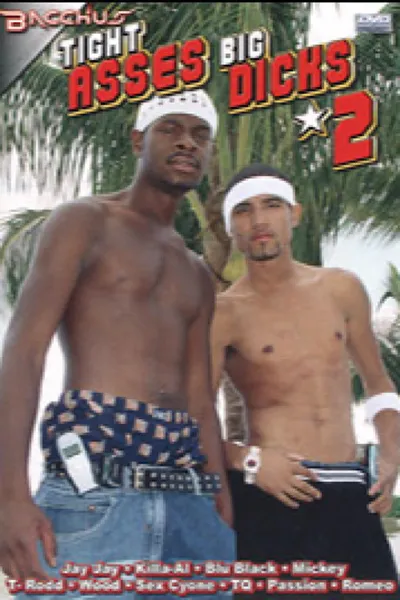 Tight Asses Big Dicks 2