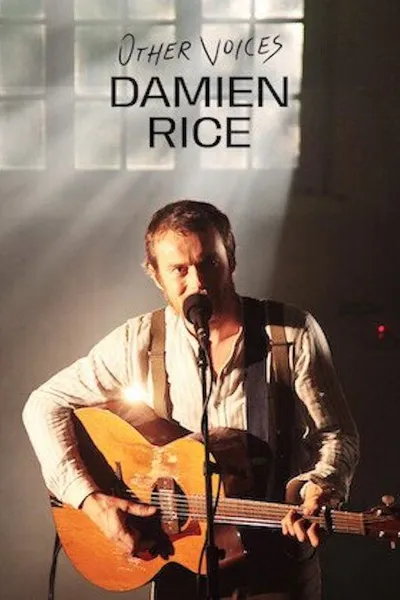 Other Voices: Damien Rice