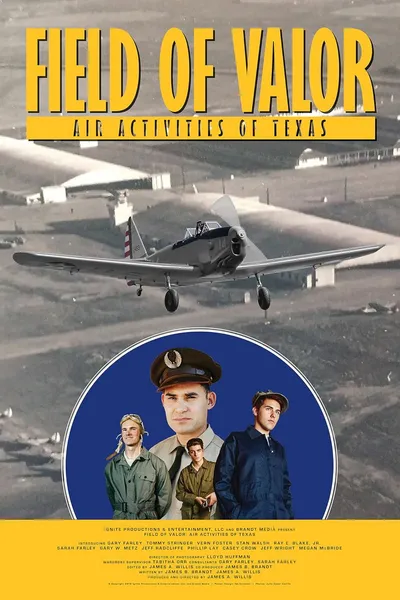 Field of Valor: Air Activities of Texas