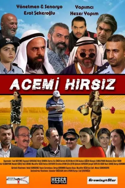 Acemi Hırsız