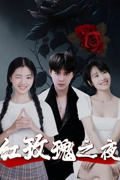 红玫瑰之夜