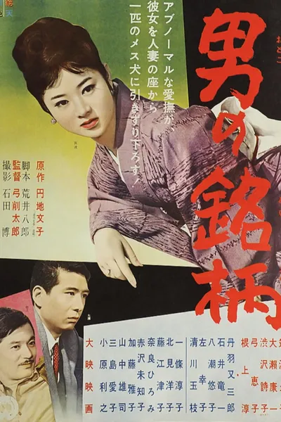 Otoko no meigara