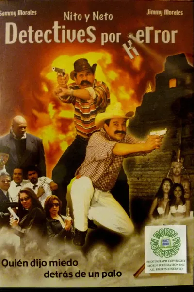 Detectives por error