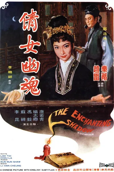 The Enchanting Shadow