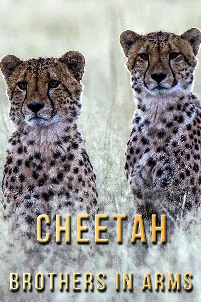 Cheetah Brothers in Arms