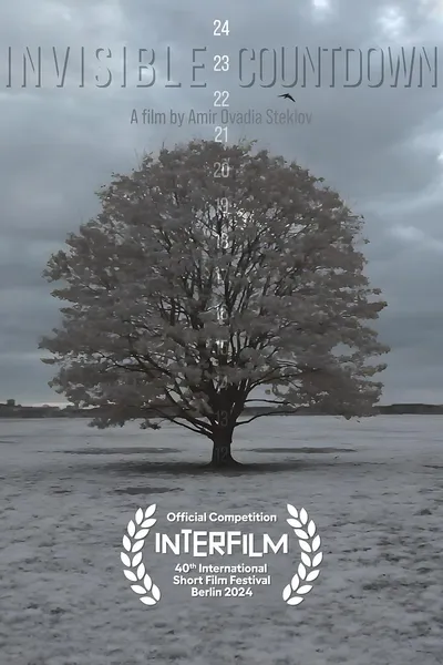 Invisible Countdown