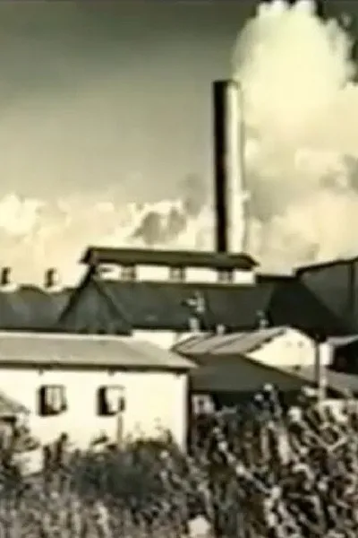 Kahuku: Survival of a Plantation Town