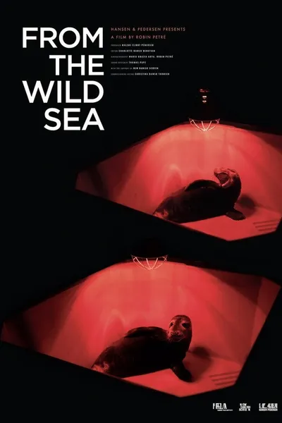 From the Wild Sea