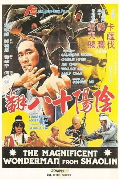 Magnificent Wonderman