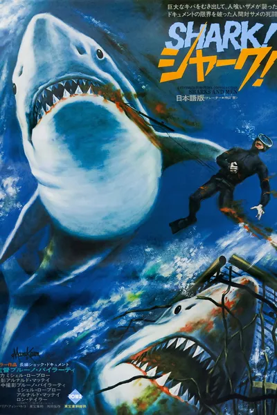Men and Sharks