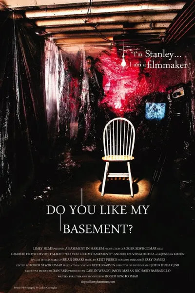 Do You Like My Basement?