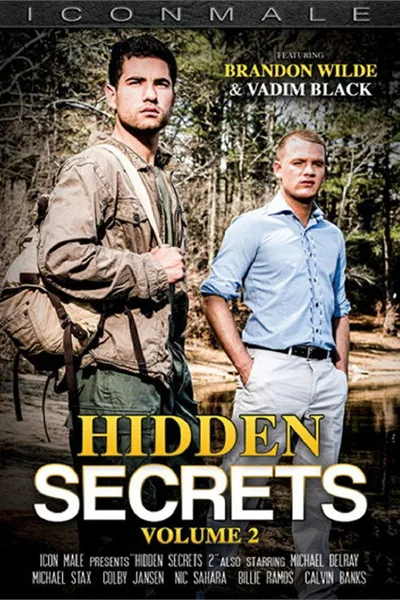 Hidden Secrets 2