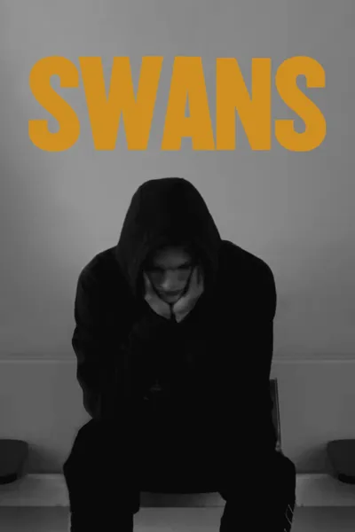 Swans