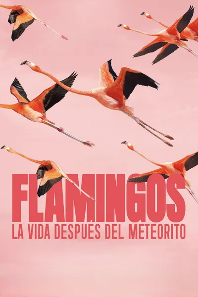 Flamingos: Life After the Meteorite