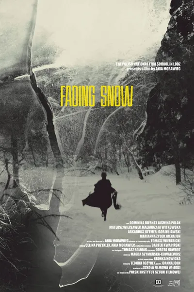 Fading Snow