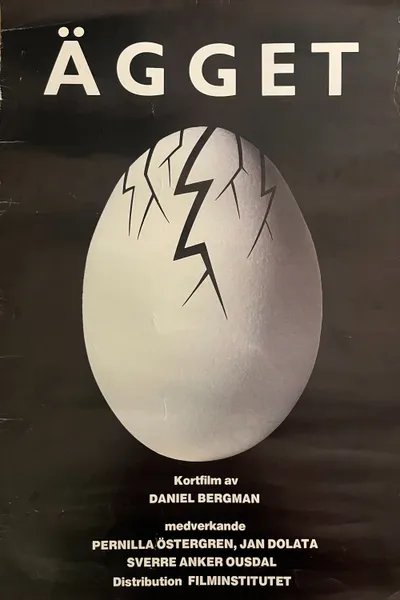 The Egg
