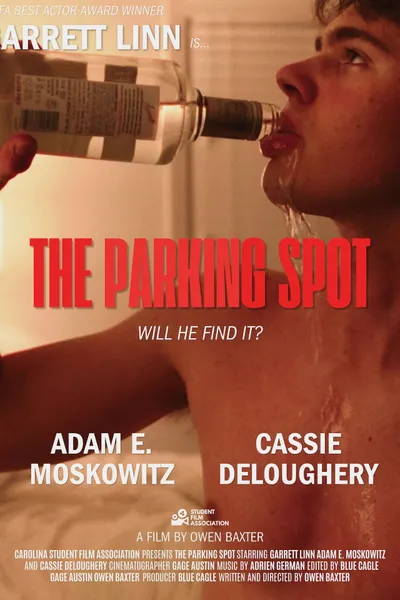The Parking Spot