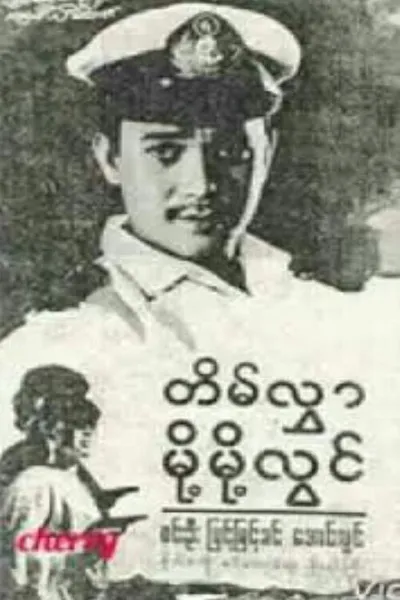 Tein Hlwar Moht Moht Lwin