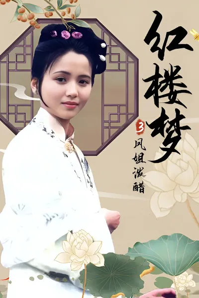 红楼梦第三部：凤姐泼醋