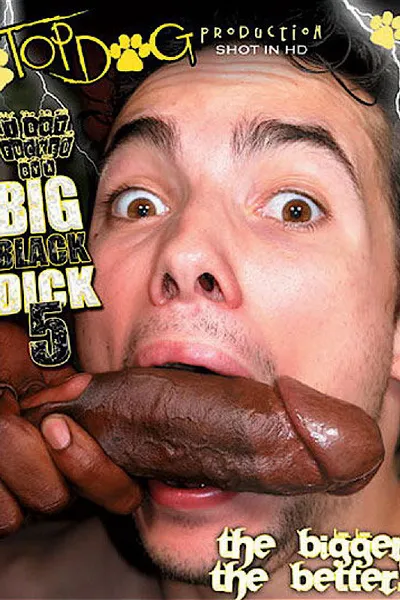 I Got Fucked by a Big Black Dick 5