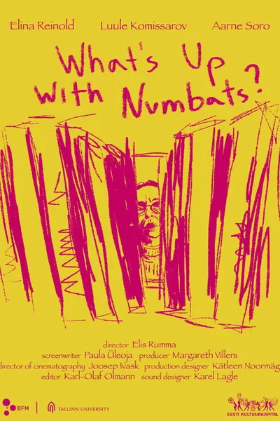 What's Up With Numbats?