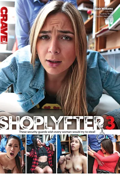 ShopLyfter 3