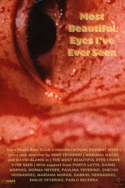 Most Beautiful Eyes I've Ever Seen