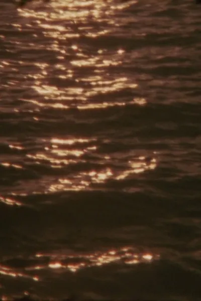 Umbra Viventis Lucis