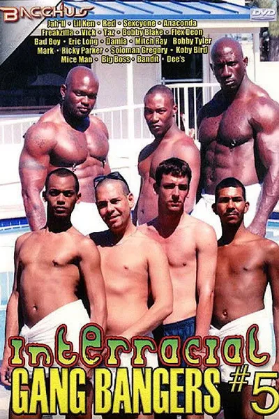 Interracial Gang Bangers 5