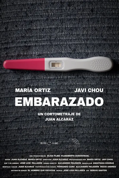 Embarazado