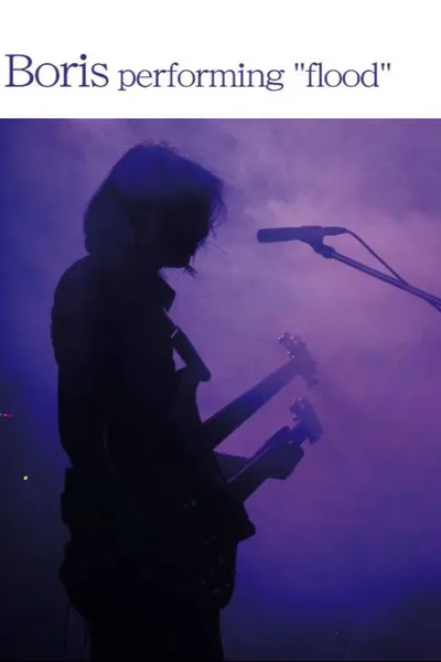 Boris performing flood