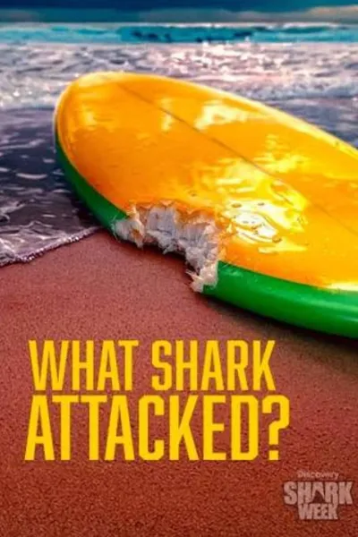 What Shark Attacked?
