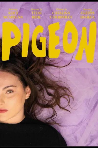 pigeon