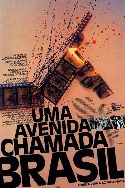 An Avenue Called Brazil