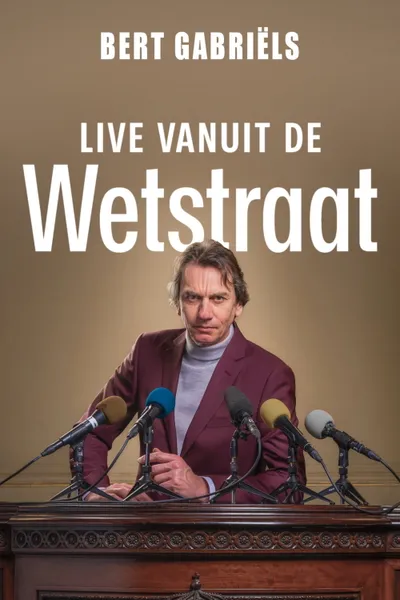 Bert Gabriëls: Live vanuit de Wetstraat