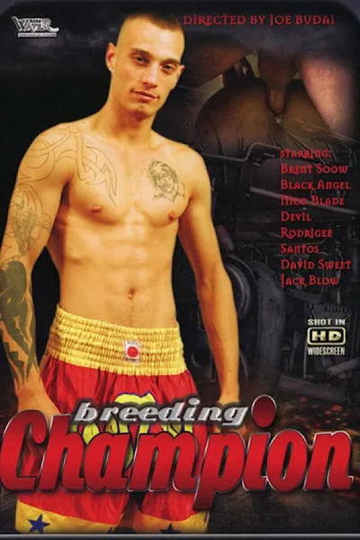 Breeding Champion