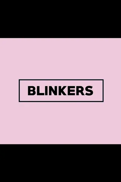 Blinkers