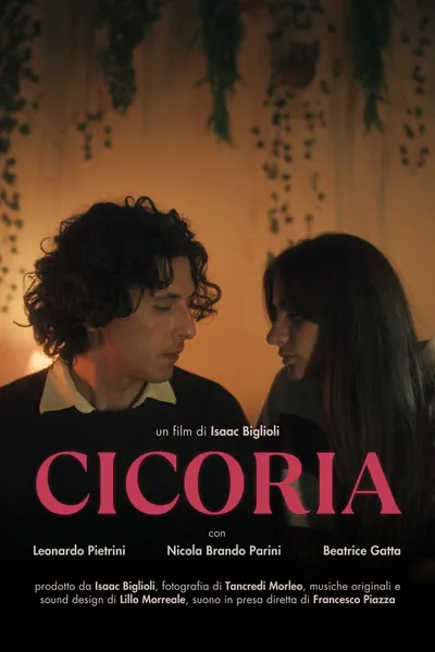 Cicoria