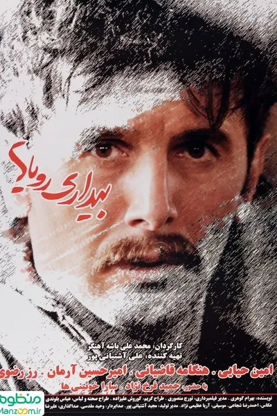 Wakefulness of Dreams