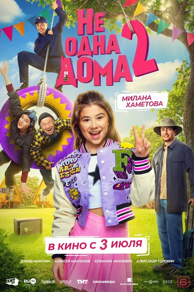 Home Not Alone 2