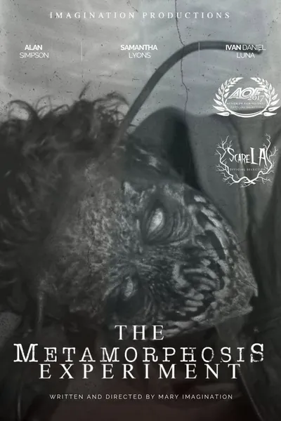 The Metamorphosis Experiment