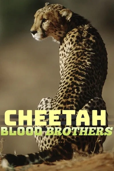 Cheetah Blood Brothers