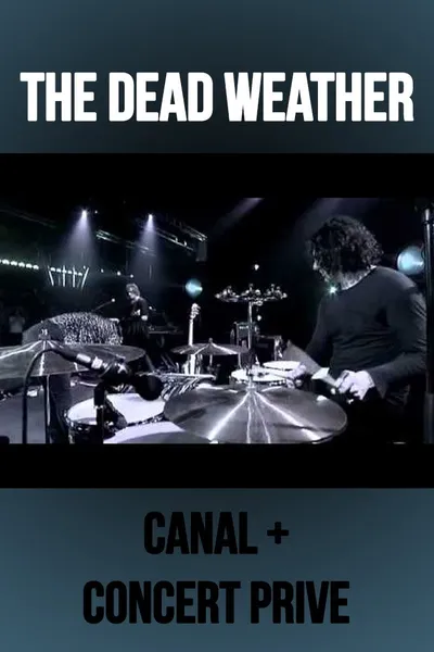 The Dead Weather: Live at Concert Prive, Canal +