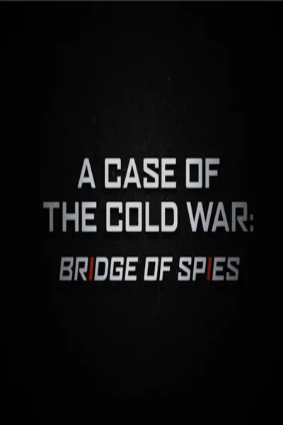 A Case of the Cold War: Bridge of Spies