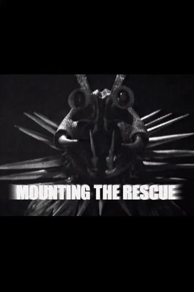 Mounting the Rescue