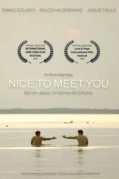Nice to Meet You