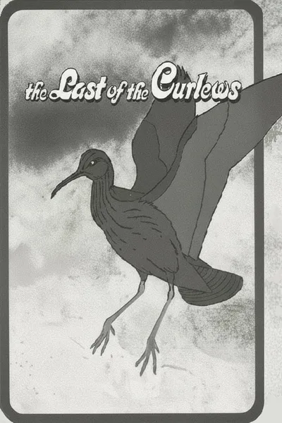 The Last of the Curlews