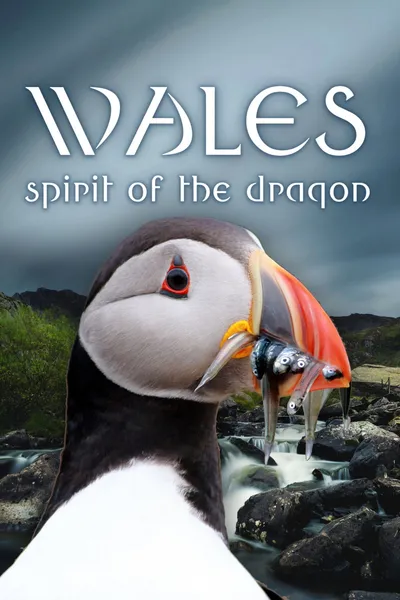 Wales: Spirit of the Dragon