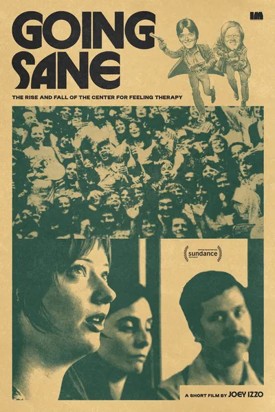 Going Sane: The Rise and Fall of the Center For Feeling Therapy