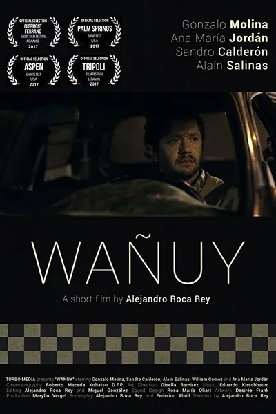 Wañuy